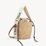 Chloe Small Woody Basket CHC22SS381G55101