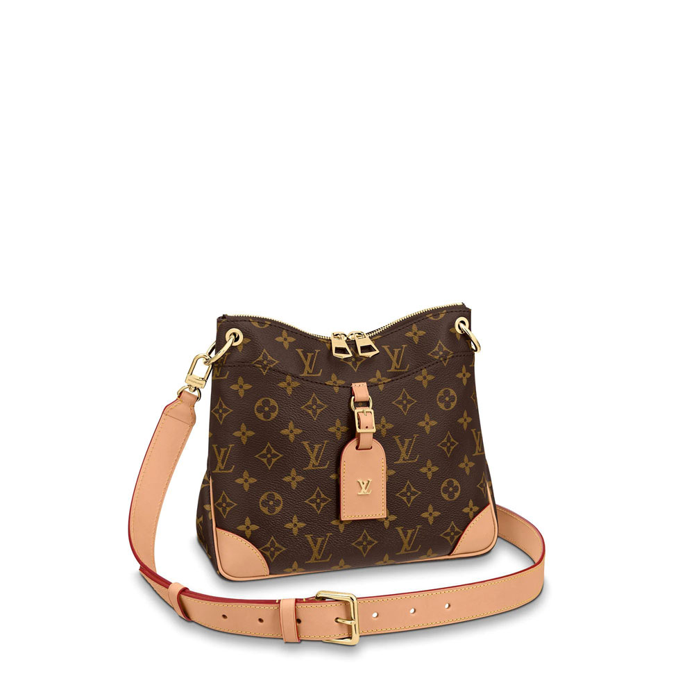 Louis Vuitton Odeon PM Womens Hobo Shoulder Bag M45354: Image 1