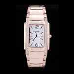 Bvlgari Assioma Watch BV5835