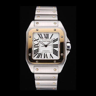 Swiss Cartier Santos De Cartier Galbee Yellow Gold and Steel Case Steel Bracelet CTR6054