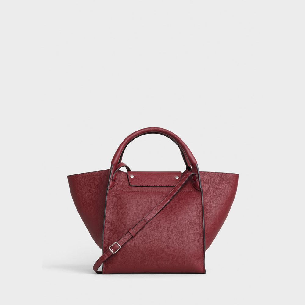 Celine Small Big Bag with strap supple grained 189313A4U 28LB: Image 2