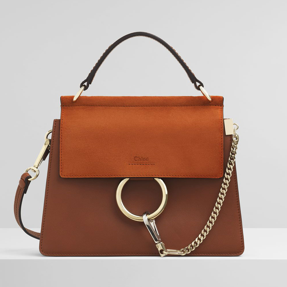 Chloe Faye Small Bag In Smooth Suede Calfskin CHC20SS203H2O236: Image 1