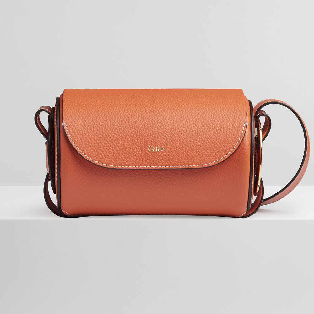 Chloe Darryl Mini Bag In Grained Smooth Calfskin CHC21AS348C61818: Image 1