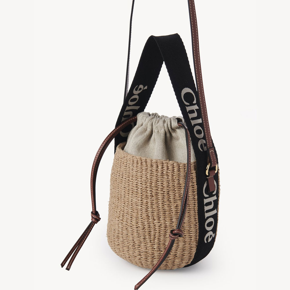 Chloe Small Woody Basket CHC23AS381L18915: Image 2