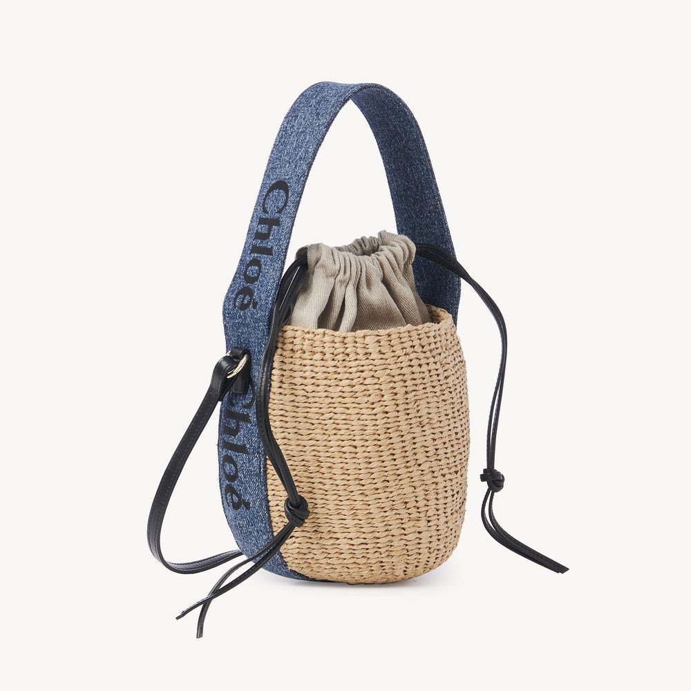 Chloe Small Woody Basket CHC23US381K3845D: Image 1