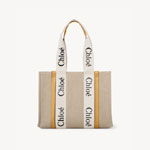 Chloe Medium Woody Tote Bag CHC22AS383I26746