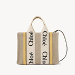 Chloe Small Woody Tote Bag CHC22AS397I26746