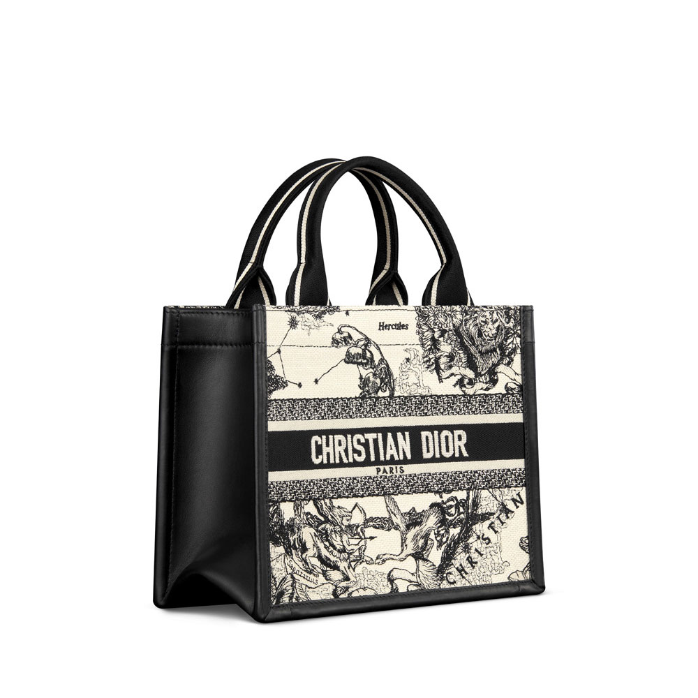 Small Dior Book Tote M1325CETW M06E: Image 2