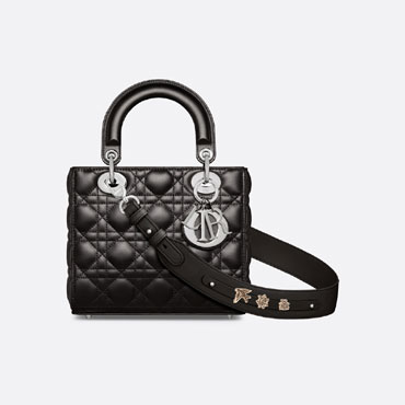 Small Lady Dior My ABCDior Bag M0538PNGE M900