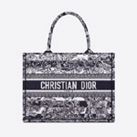 Medium Dior Book Tote Toile de Jouy Stripes M1296ZRLP M928