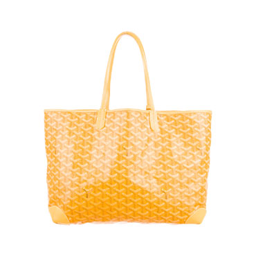 Goyard St Louis PM Tote GOY5408