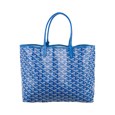 Goyard St Louis PM Tote GOY5412