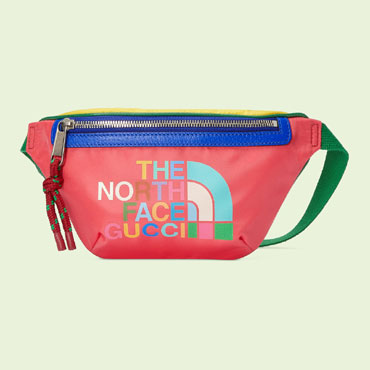 The North Face Gucci belt bag 650299 2BGCN 5978