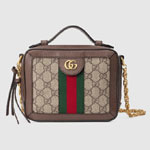 Gucci Ophidia GG mini shoulder bag 602576 K05NB 8745