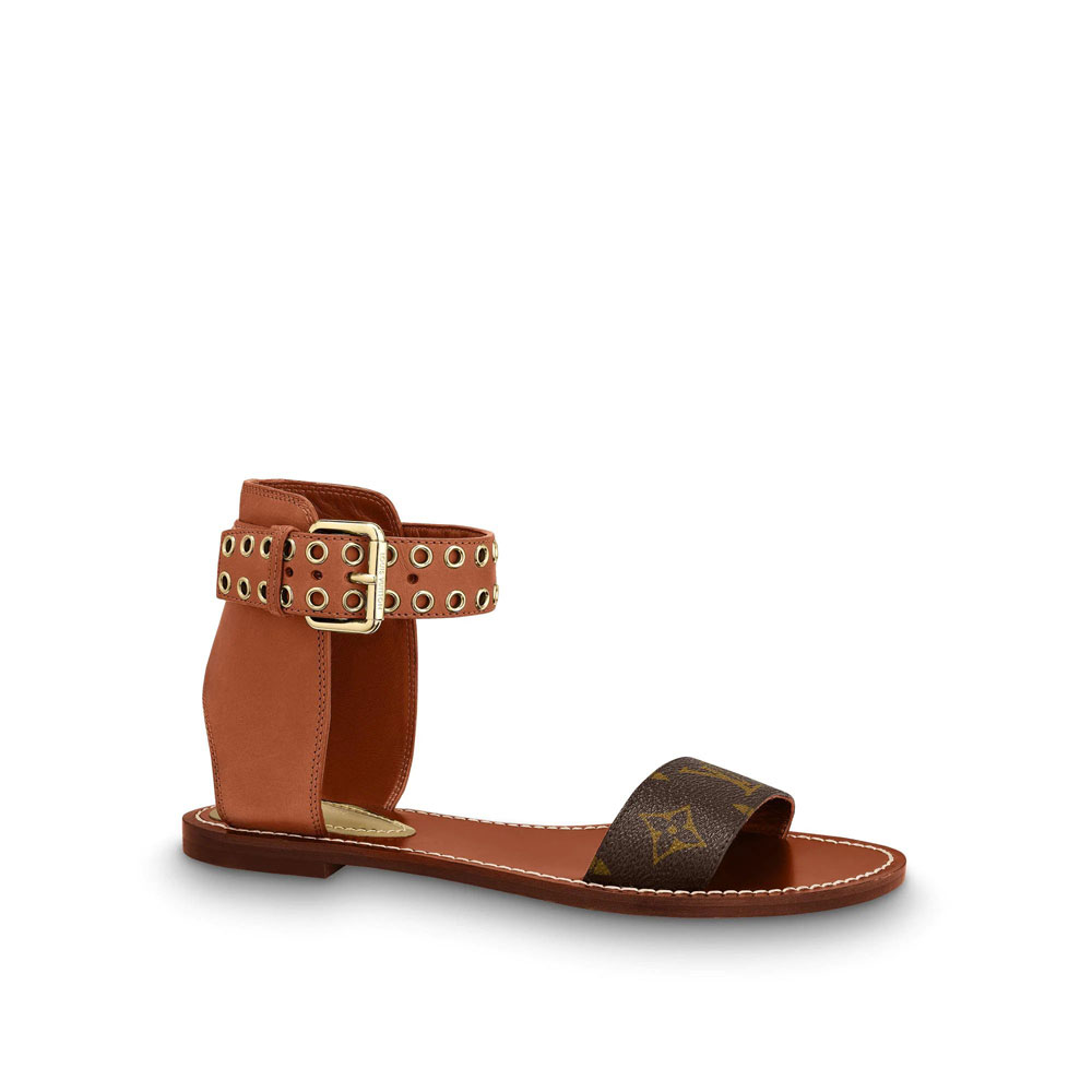 Louis Vuitton Passenger Flat Sandal in Brown 1A63ZZ: Image 1