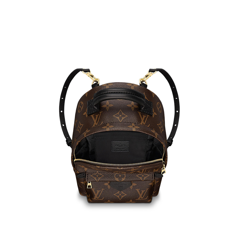 Louis Vuitton Palm Springs Backpack Mini M41562: Image 2