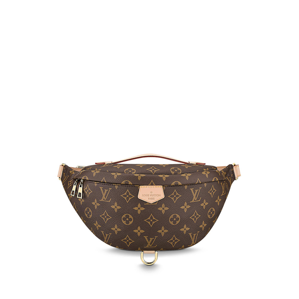 Louis Vuitton Bumbag Monogram M43644: Image 1