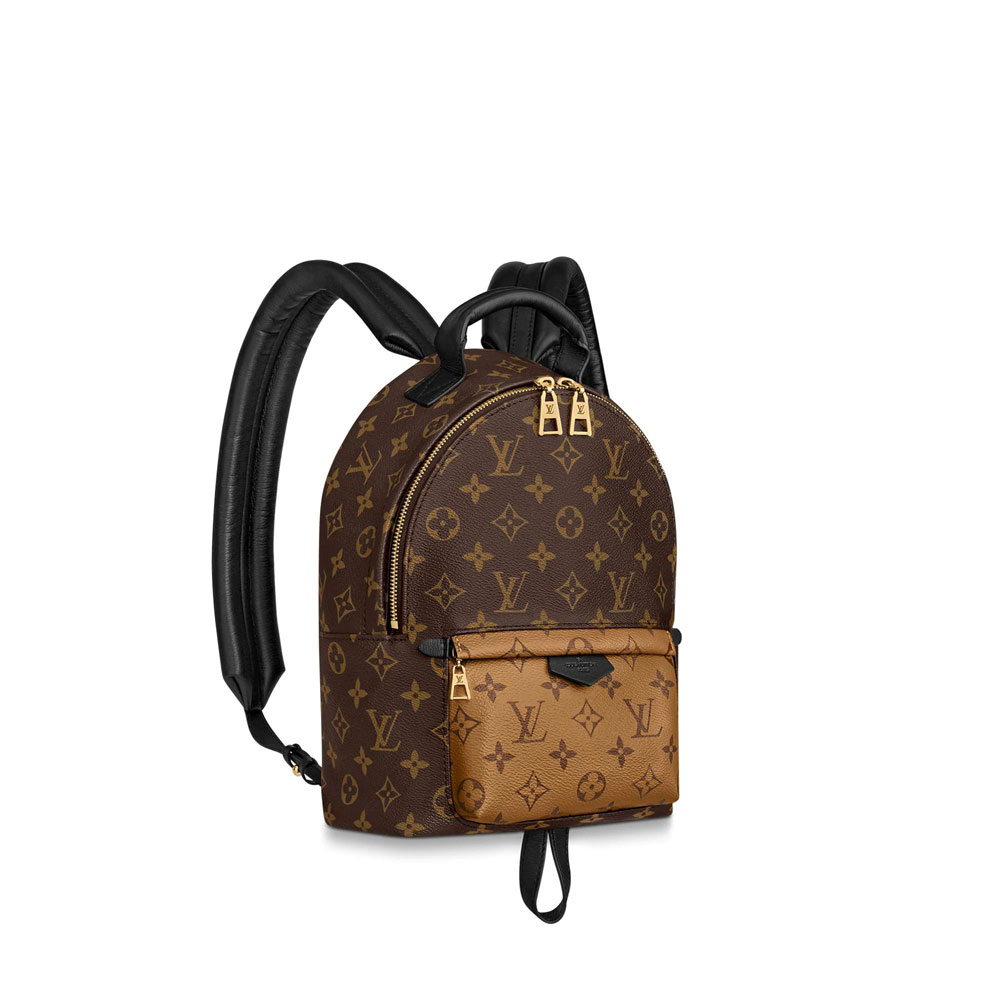 Louis Vuitton Palm Springs PM Monogram Reverse Canvas in Brown M44870: Image 1