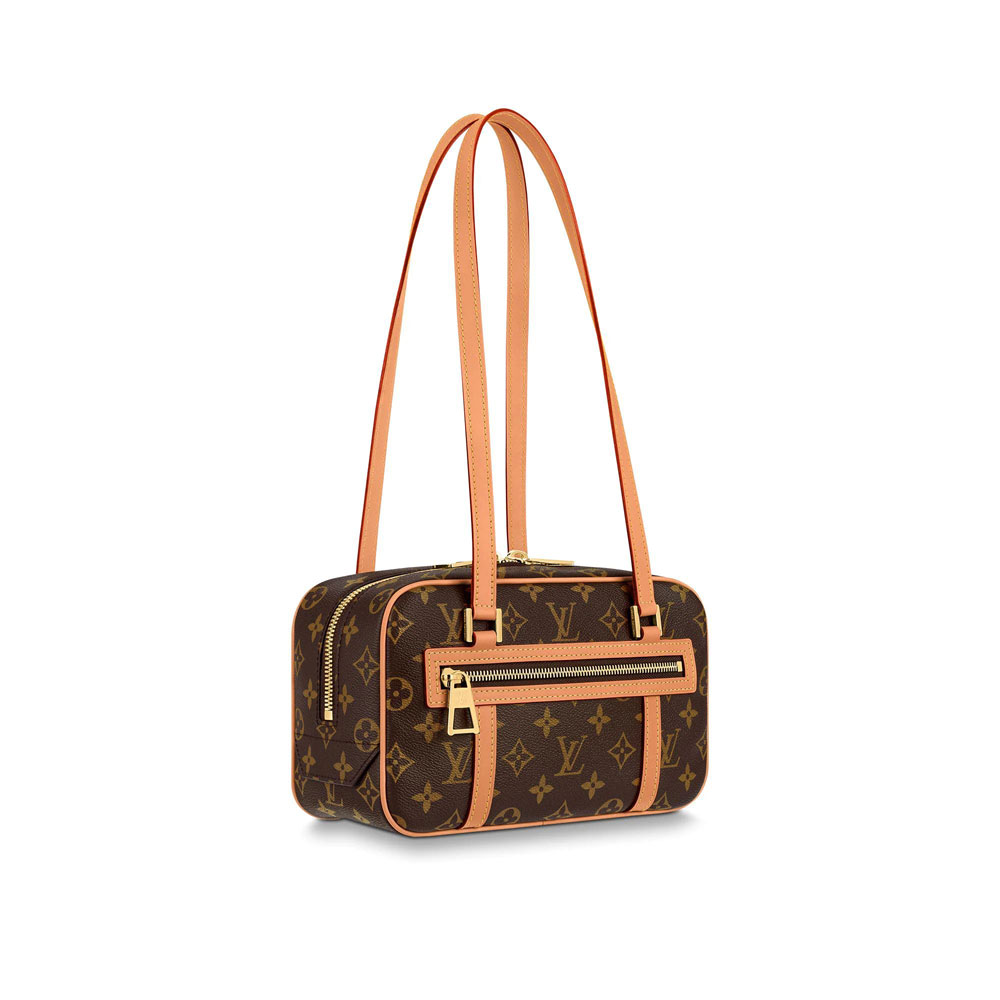 Louis Vuitton rectangular Cite bag M46321: Image 1