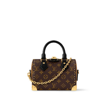 Louis Vuitton Speedy Trunk 20 Monogram Canvas M13146