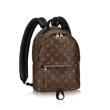 Louis Vuitton Palm Springs Backpack PM M41560