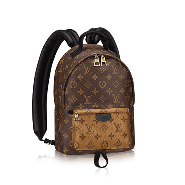 Louis Vuitton Palm Springs Backpack PM M43116