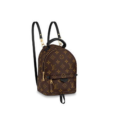 Louis Vuitton Palm Springs Mini Monogram in Brown M44873