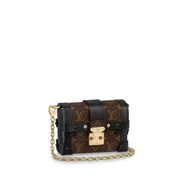 Louis Vuitton Essential Trunk Monogram in Brown M68566