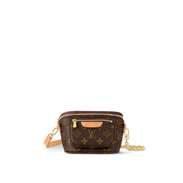 Louis Vuitton Mini Bumbag Monogram M82335