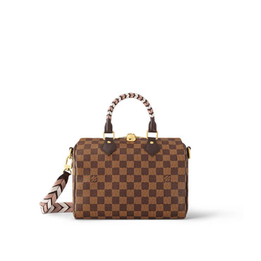 Louis Vuitton Speedy 25 Damier Ebene N40450