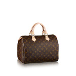 Louis Vuitton Speedy 30 M41108