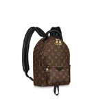 Louis Vuitton Palm Springs PM Monogram in Brown M44871