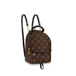 Louis Vuitton Palm Springs Mini Monogram in Brown M44873