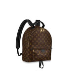 Louis Vuitton Palm Springs MM Monogram in Brown M44874