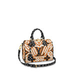 LV Crafty Speedy Bandouliere 25 Autres Toiles Monogram M56588