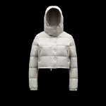 Moncler Avoine Short Down Jacket Outerwear G20931A00033595A2910