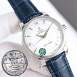 Omega Seamaster 511.13.38.20.02.002 Watch