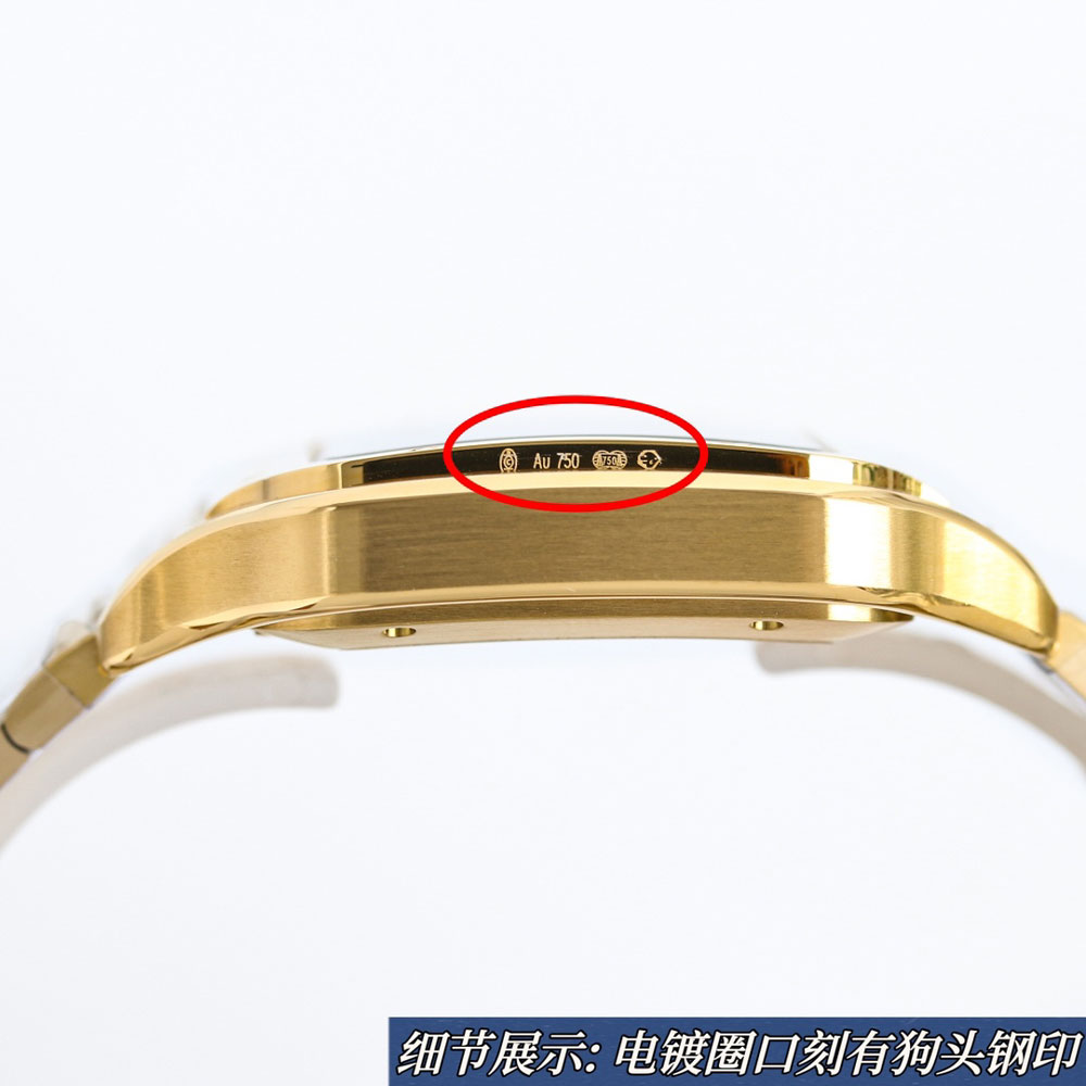 Cartier Santos de Cartier WGSA0095 39.8mm Watch: Image 4