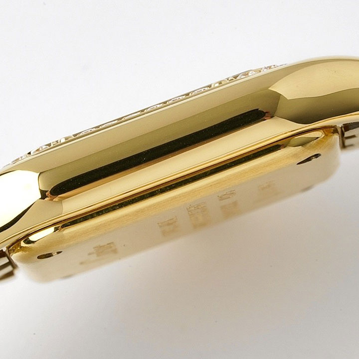 Cartier Panthere de Cartier WJPN0067 22x30mm Watch: Image 5