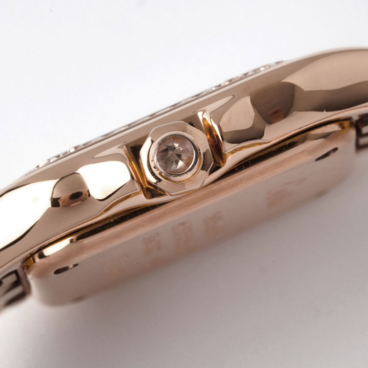 Cartier Panthere de Cartier WJPN0071 22x30mm Watch: Image 4