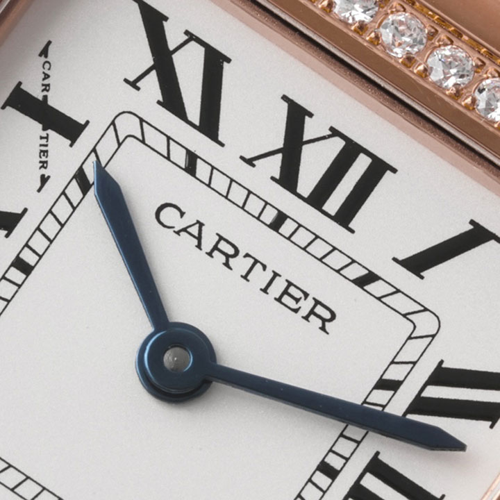 Cartier Panthere de Cartier WJPN0088 27x36mm Watch: Image 3