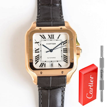 Cartier Santos de Cartier WGSA0019 39.8mm Watch