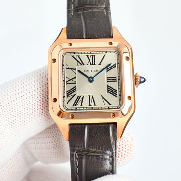 Cartier Santos de Cartier WGSA0032 46.6x33.9mm Watch
