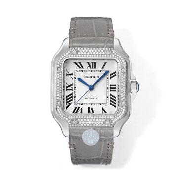 Cartier Santos de Cartier WJSA0006 35.1mm Watch