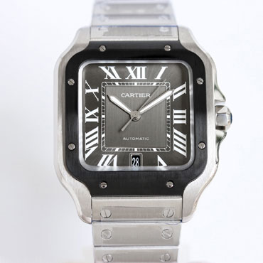 Cartier Santos de Cartier WSSA0037 39.8mm Watch