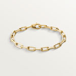 Santos de Cartier bracelet chain medium model CRB6021300