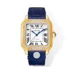Cartier Santos de Cartier WJSA0020 35.1mm Watch