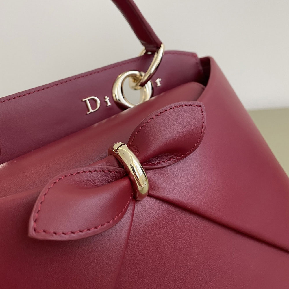 Small Dior Cigale Bag in Burgundy Calfskin Leather M0737OHJU M42R: Image 5