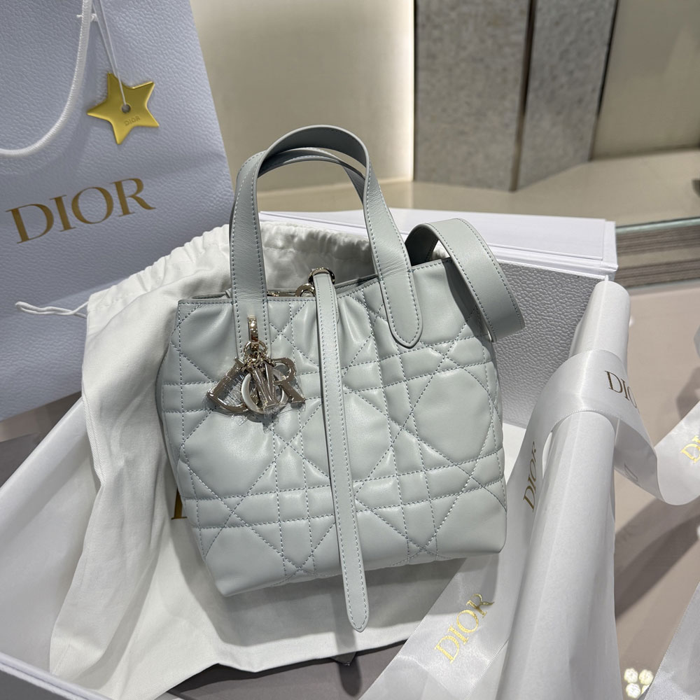 Small Dior Toujours Vertical Tote Bag Ice Blue M2835PSNW M39Z: Image 1