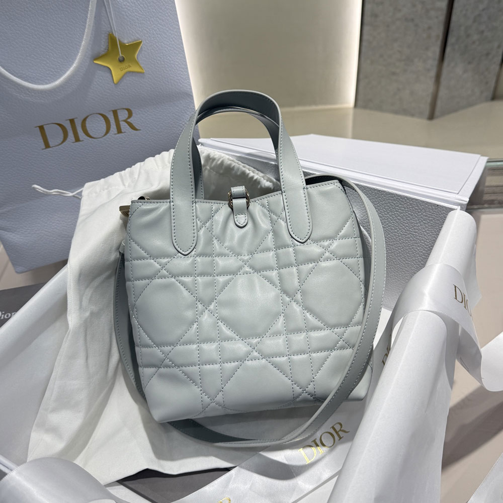 Small Dior Toujours Vertical Tote Bag Ice Blue M2835PSNW M39Z: Image 3